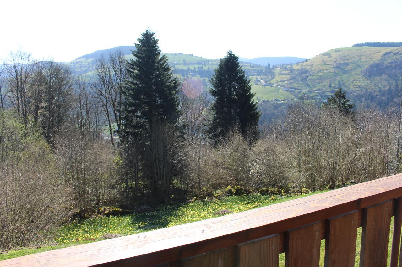 Chalet Les Bouleaux, La Montagne Des Lamas La Bresse Kültér fotó